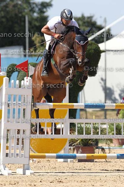 METRANGOLO_GREAT QUALITY_ECC_2011_SS3_8623.jpg